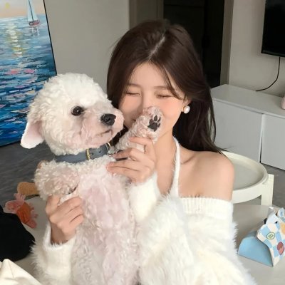 寻找苏珊